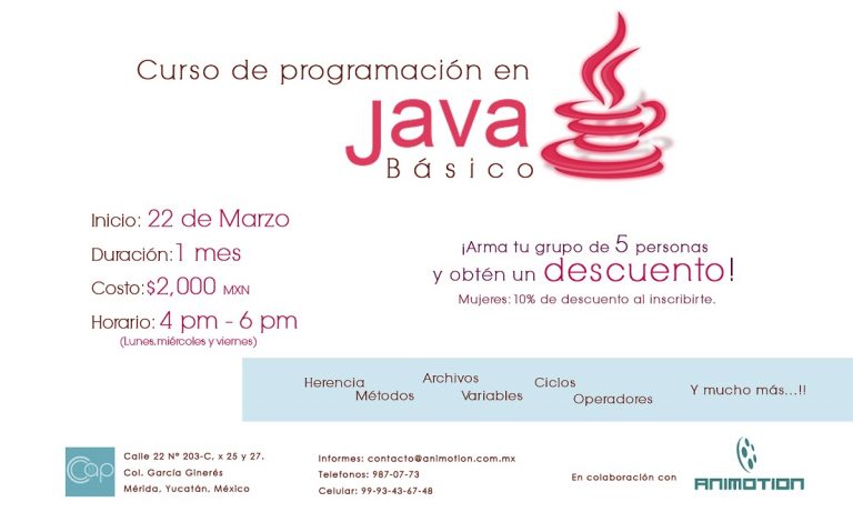 Diseño de Flyers (Publicidad)
