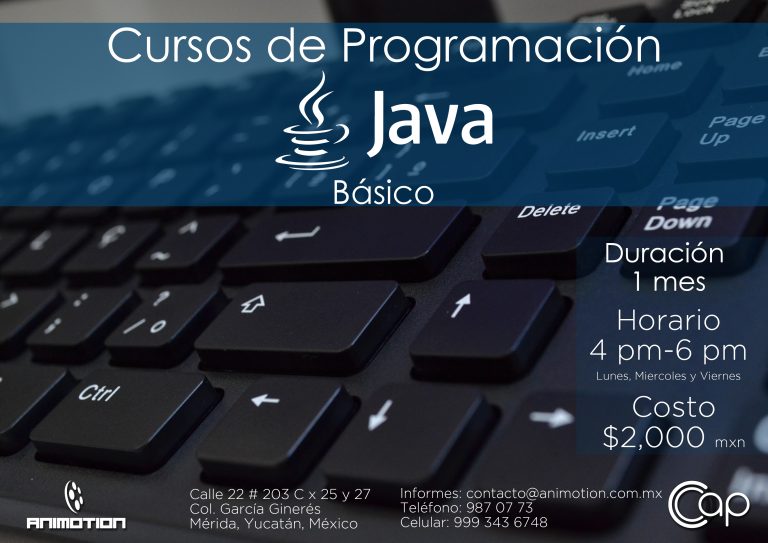 Diseño de Flyers (Publicidad)