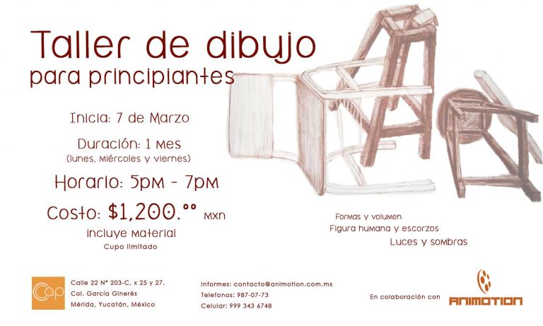 Diseño de Flyers (Publicidad)